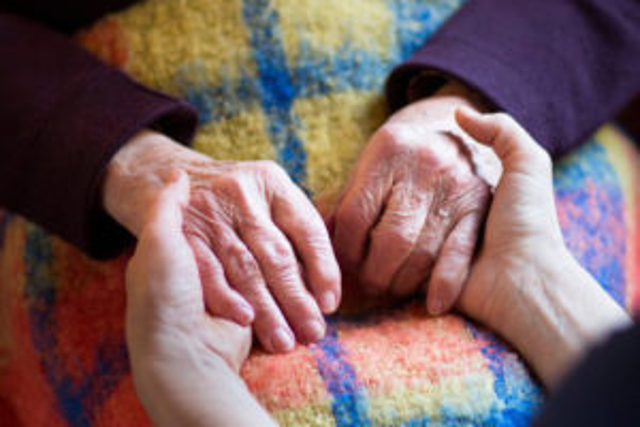 Servizio Assistenza Domiciliare Socio Assistenziale agli Anziani non autosufficienti